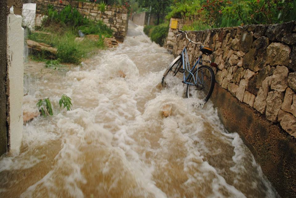 10524347_10204394752214191_5123064722935036948_n