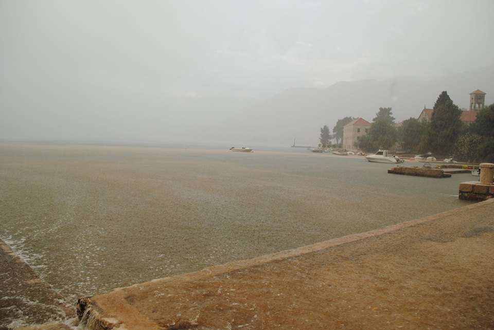 1907748_10204394751414171_8670612567129690153_n