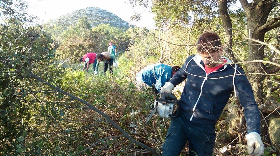 13006631_1073292676078343_3357335885036432378_n