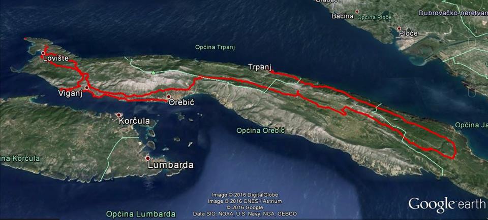 13055432_10208295454618055_1977154485682554712_n